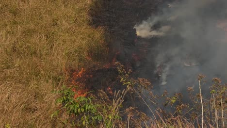 Fire-going-to-the-left-creating-so-much-smoke-and-charred-plants-and-grass,-controlled-or-prescribed-burning,-Thailand