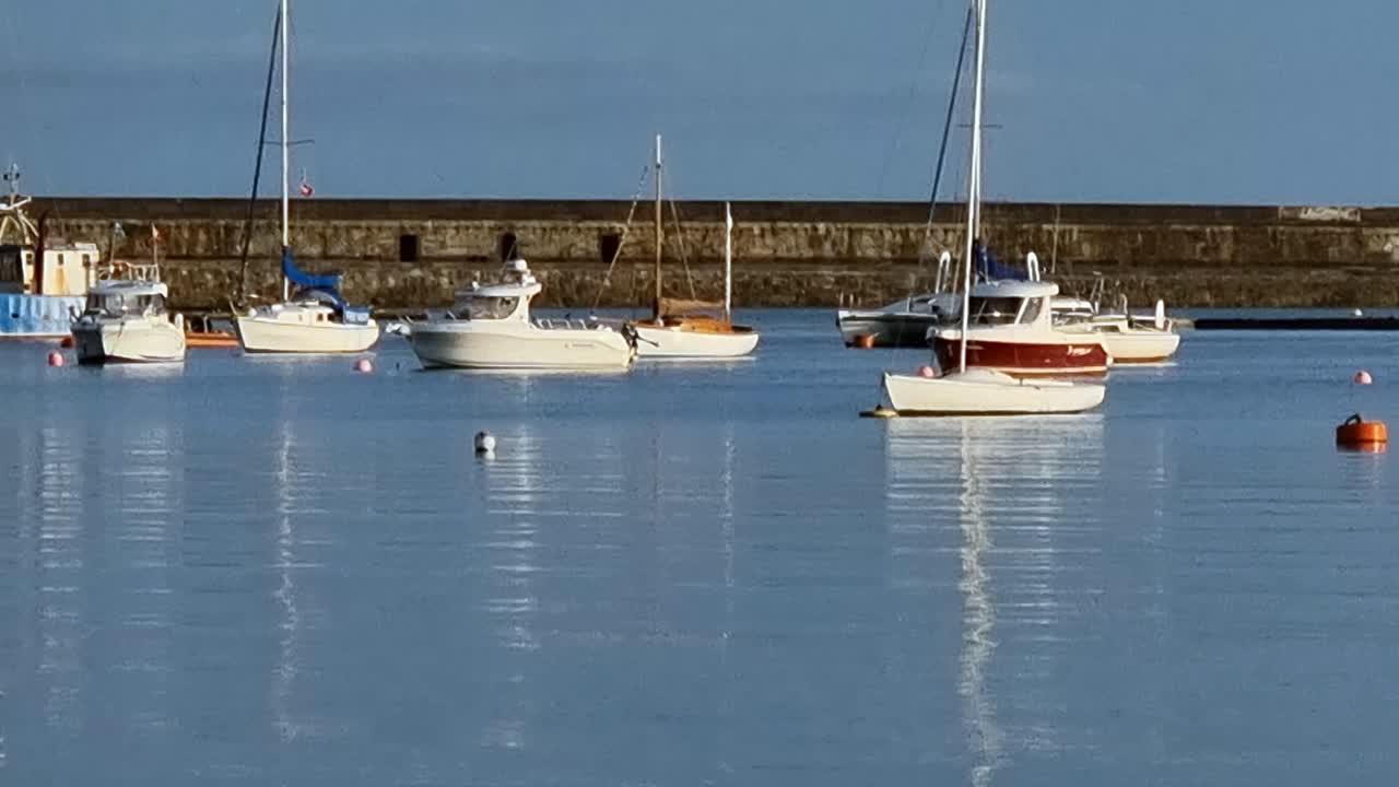 un montón de veleros y yates flotando en la tranquila marina del océano que se reflejan en la luz del sol de la mañana