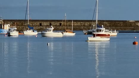 lots of sailing boats and yachts floating on calm ocean marina reflecting in the morning sunlight