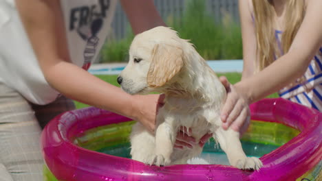 Mamá-E-Hija-Bañan-A-Un-Cachorro-Esponjoso-En-Una-Pequeña-Piscina-Inflable