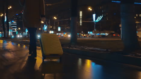 woman walking with trolley bag along the street in city