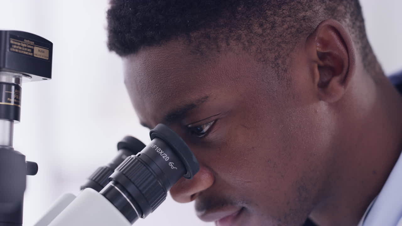 ¿qué es lo que tenemos aquí?