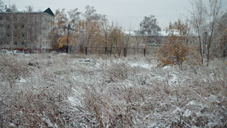 winter scene showcasing a field of frozen grass and early snow, with icy textures amid muted colors of brown and yellow under a gray sky, set against a backdrop of distant buildings and bare trees