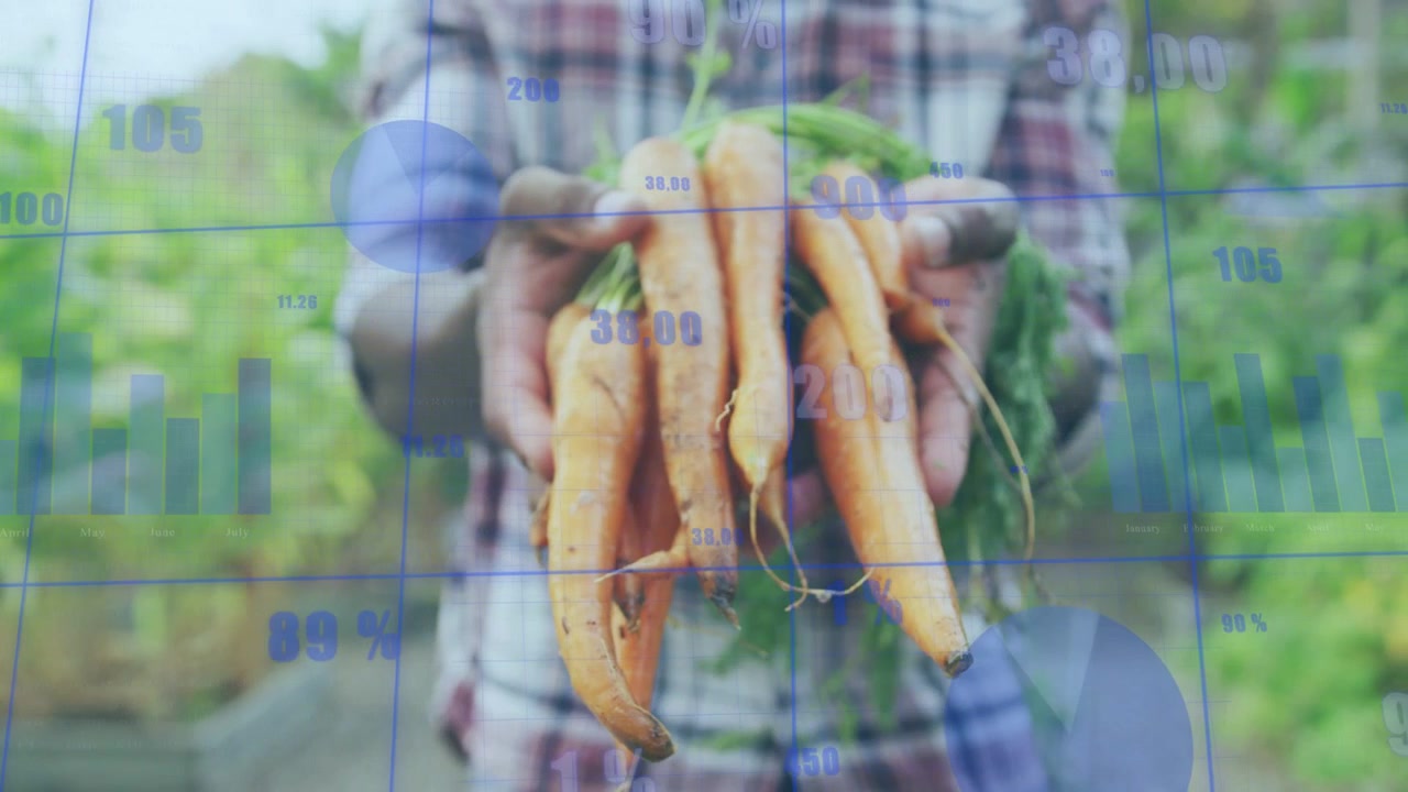 Un jardinero sostiene zanahorias hacia la cámara en una granja, retrocediendo mientras gráficos azules superponen datos de rendimiento.