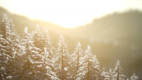 Herrliche-Weihnachtsszene-Im-Bergwald.-Bunter-Wintersonnenaufgang