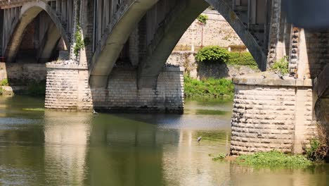 pigeons fly beneath a stone bridge in bordeaux