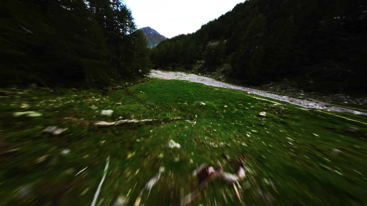 Scenic Switzerland FPV flight over lush green mountains and winding rivers