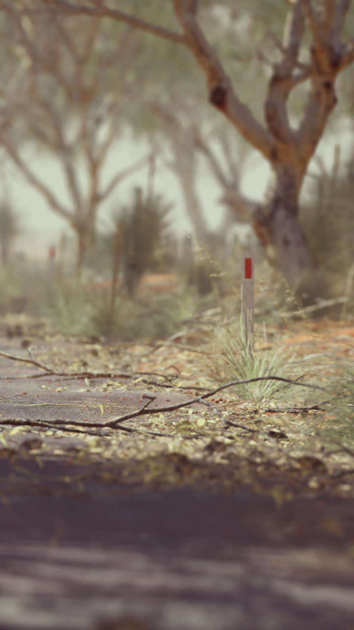 el paisaje árido de australia