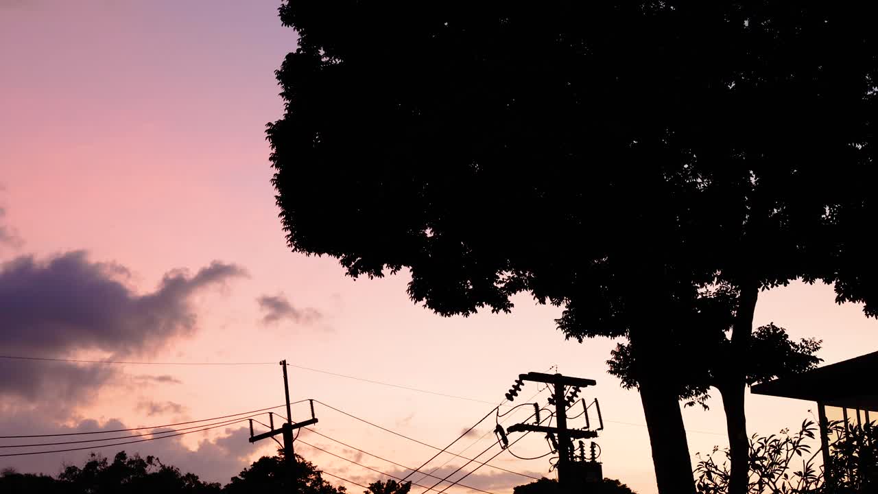 Silhouetted trees and power lines against a vibrant Phuket sunset. The sky transitions from pink to purple, creating a serene atmosphere