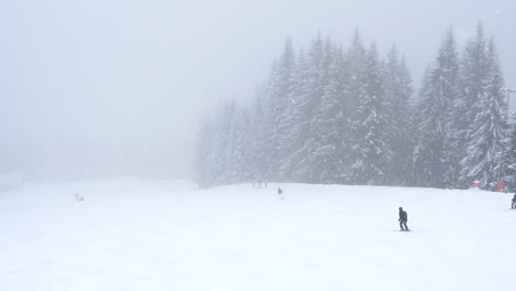 People-skiing-during-snowfall.-Static,-slomo