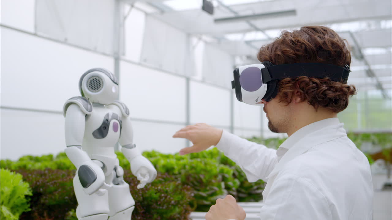 Laboratory technician in a white coat wearing virtual reality headset interacting with humanoid robot near different types of lettuce in a greenhouse farm