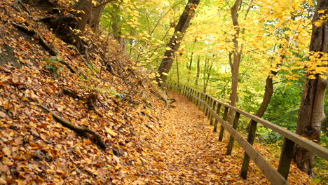 Pfad-Im-Herbstwald