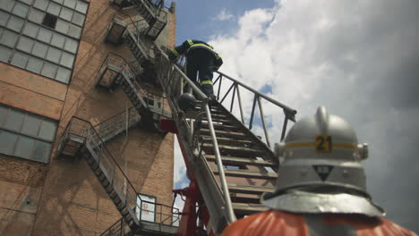 firefighters on a ladder