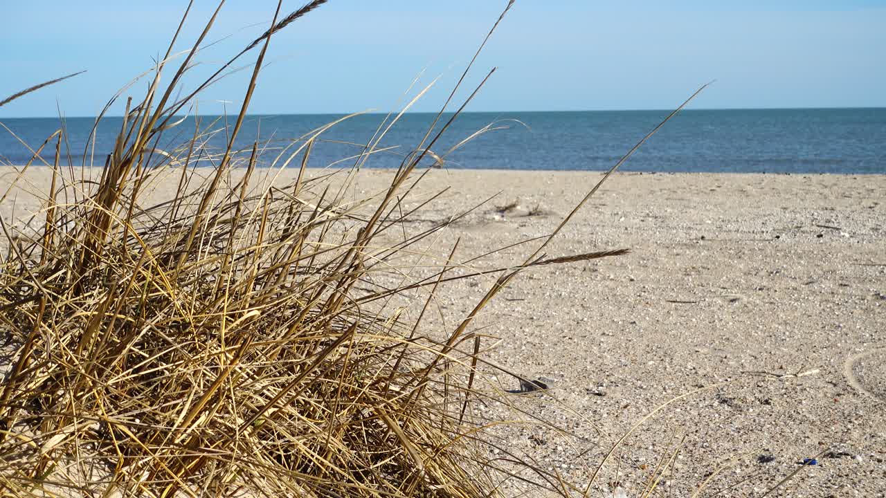 Dunes on the sea beach