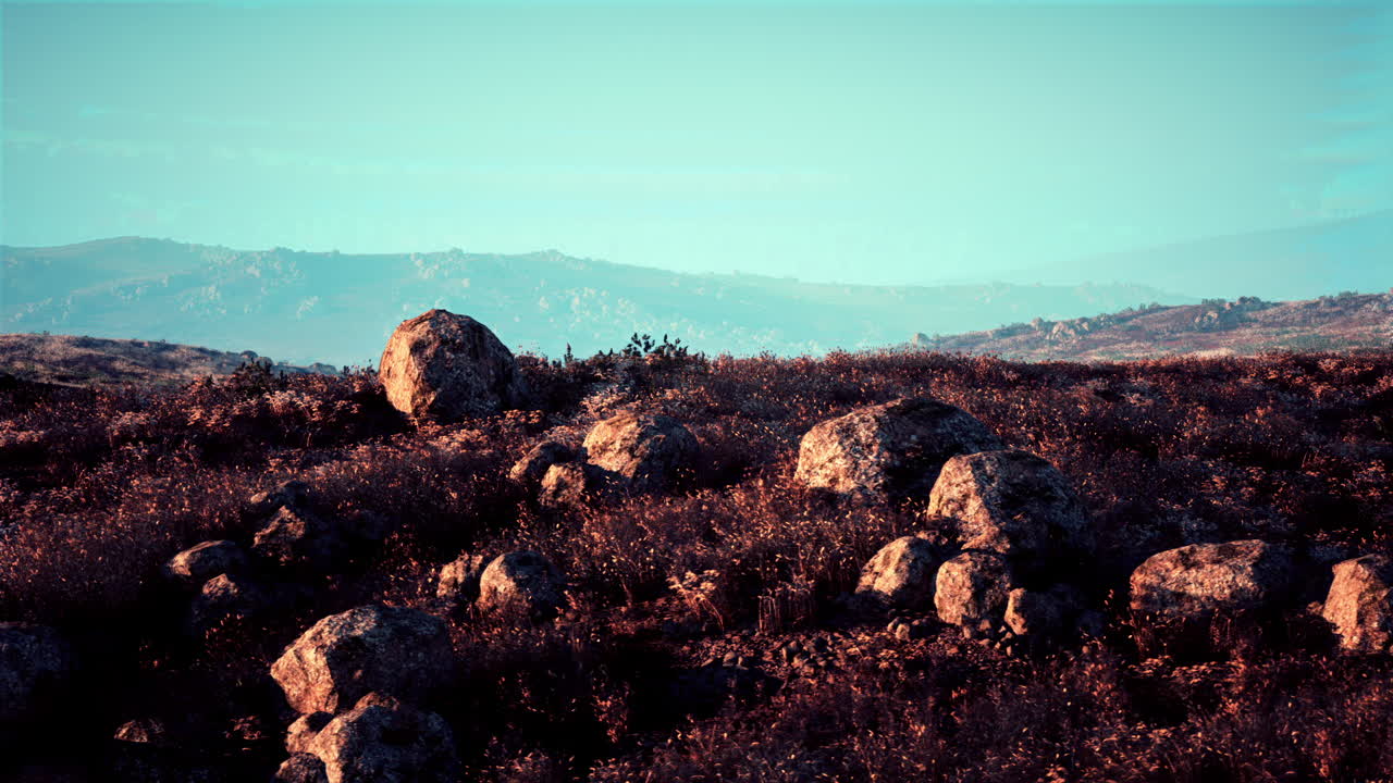 바위 와 풀 이 있는 산맥
