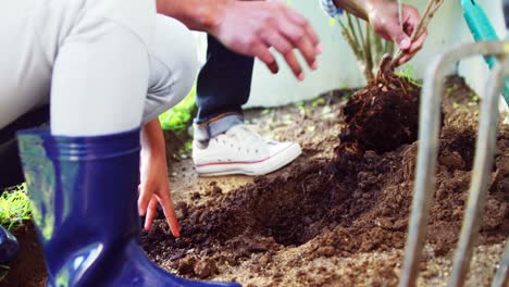 father and daughter planting a tree in garden at backyard