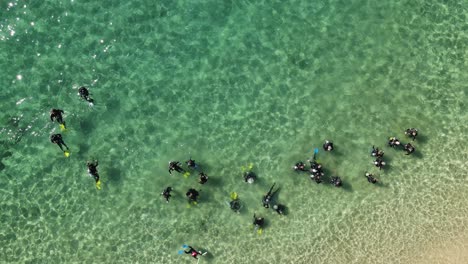 High-drone-view-of-a-large-group-of-scuba-divers-in-clear-ocean-water-participating-in-a-training-course