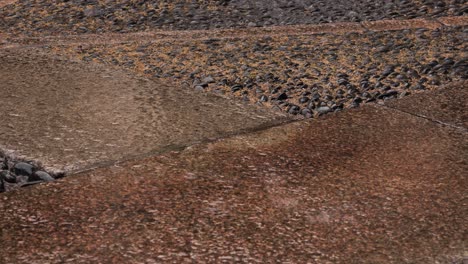 raindrops dance on an italian street in this close-up