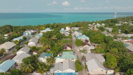 an aerial shot of a village near the coast on a tropical landscape and a tree line