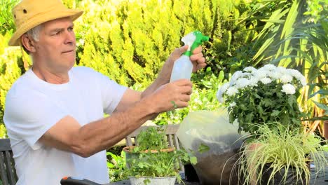 hombre rociando plantas en maceta en su jardín
