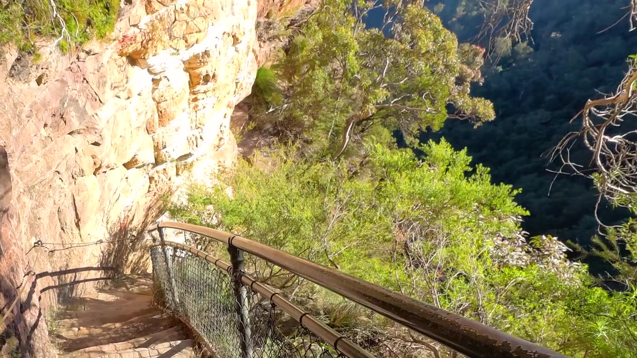 Inquadratura ampia statica di un sentiero escursionistico recintato scavato in scogliere di arenaria a Wentworth Falls