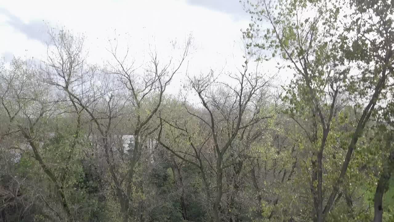 드론이 나무 사이를 날아다니며 네덜란드의 호수를 드러낸 장면