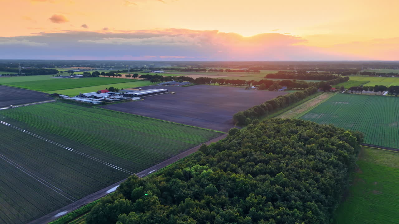 Zonsondergang boven uitgestrekt landbouwlandschap. Gouden zonsondergang werpt een warme gloed over uitgestrekte landbouwgrond, waarbij gewassen en velden in rijke groene en bruine tinten worden benadrukt.