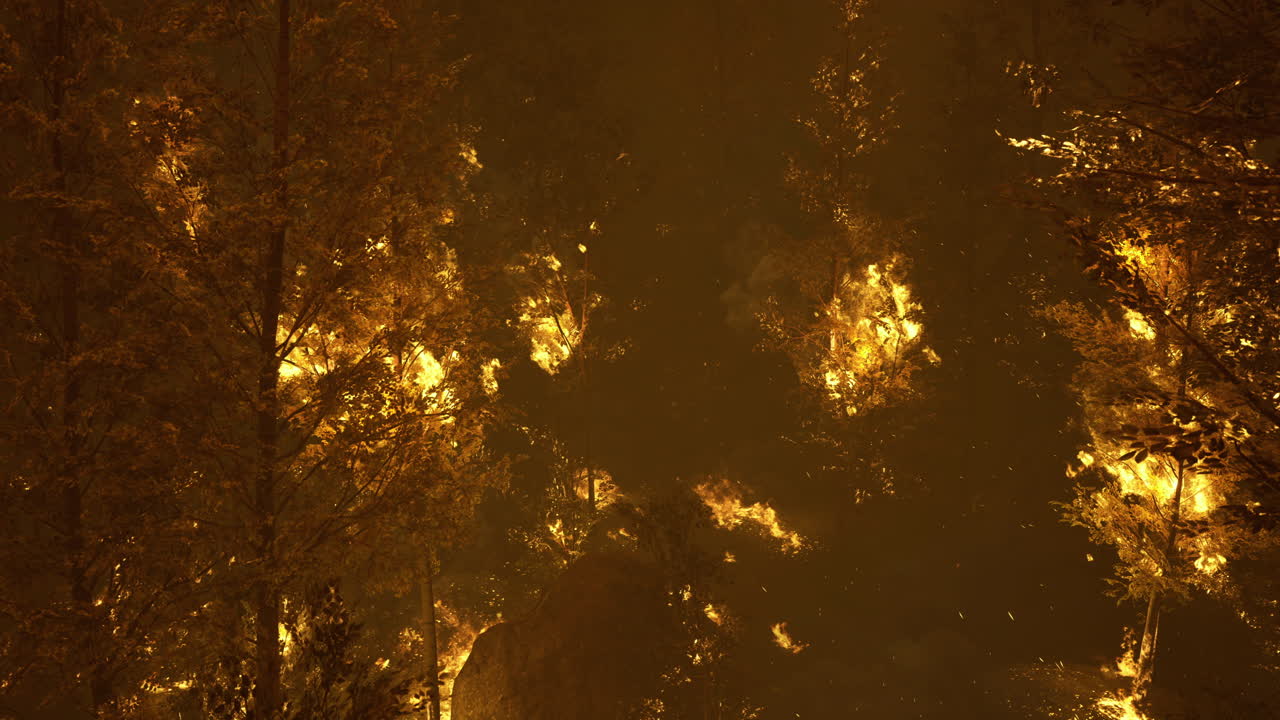 Fire engulfs forest during night causing devastation in rural area
