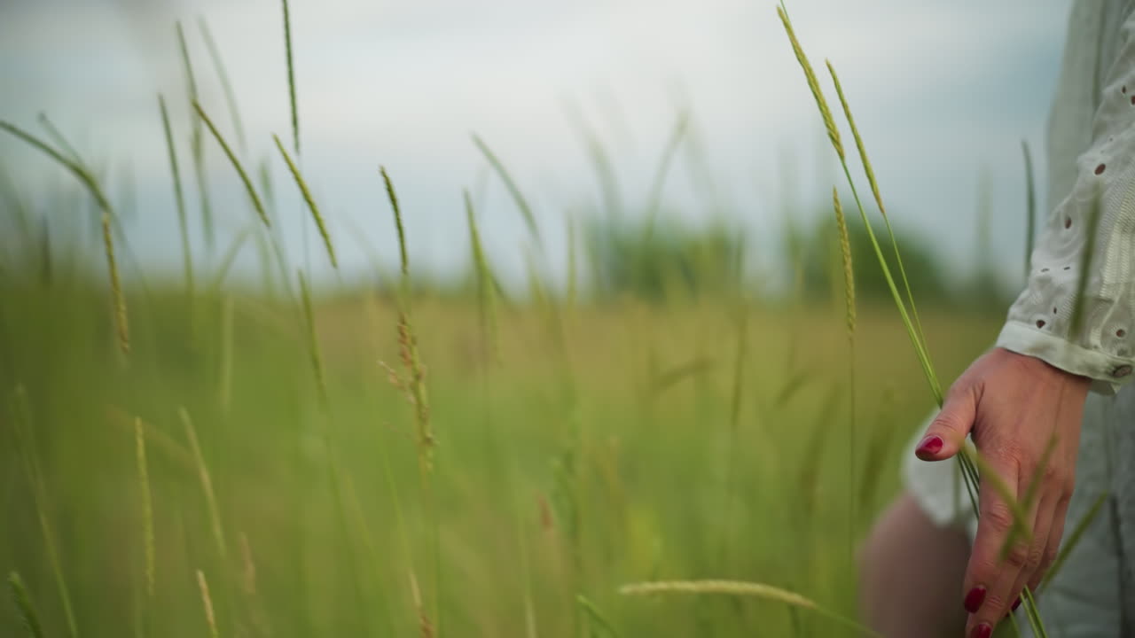 은 손라크를 쓴 여자의 손이 조용하고 푸른 에서 높은 잔디를 우아하게 고있는 클로즈업. 그녀는 섬세한 색 패턴 드레스를 입고 조용한 분위기를 발산합니다.