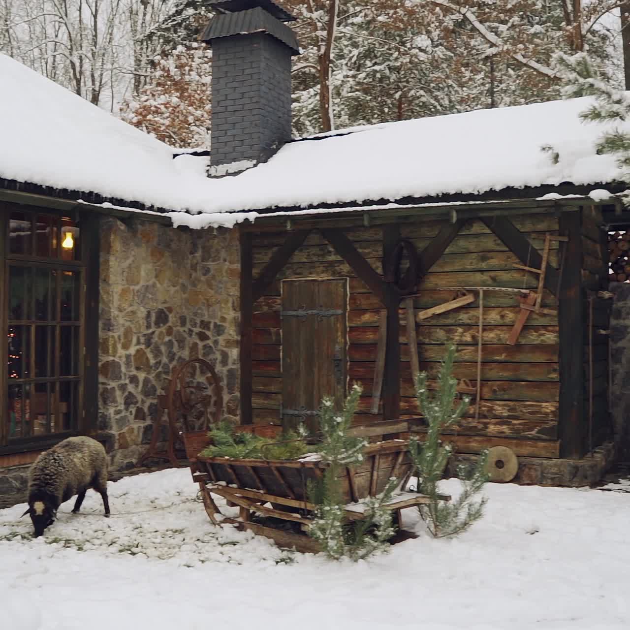 Christmas outdoor decoration background