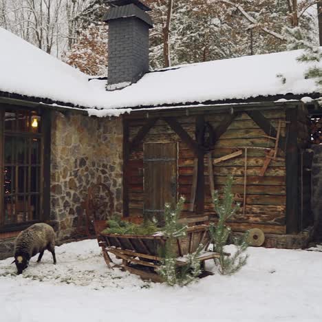 christmas outdoor decoration background