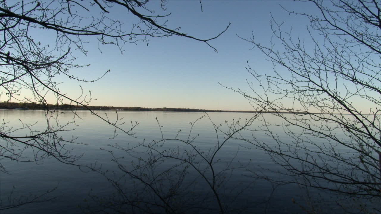 석양에 목가적인 호수 주변의 나무 가지들