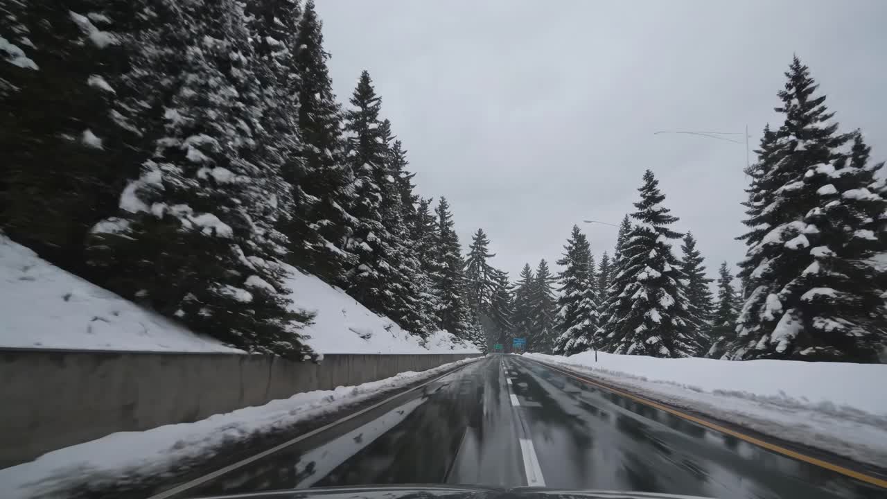 POV video of a snowy road lined with pine trees, captured from a low angle, showcasing a serene