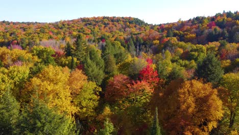 Aerial-views-of-colorful-autumn-leaves-of-yellow,-green,-and-red-paint-the-forest-in-Montreal,-Canada