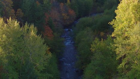 Luftaufnahme-über-Einem-Kleinen-Bach-Auf-Baumwipfelhöhe-Bei-Sonnenaufgang-Mit-Vielen-Bäumen,-Die-Beginnen,-Herbstfarben-Zu-Zeigen-–-Teil-1