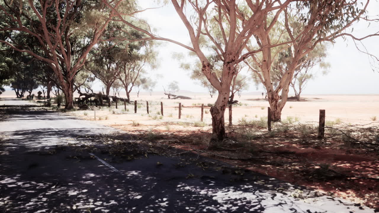 camino desierto vacío bajo un cielo soleado