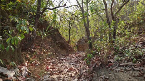 4K-Cinematic-landscape-footage-of-a-serene-scenic-view-of-Pai-canyon-with-narrow,-ledgy-hiking-trails-that-offer-a-sweeping-valley-view-in-Pai,-Northern-Thailand-on-a-sunny-day