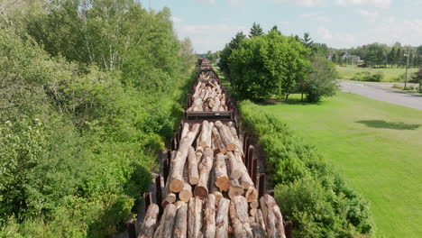 close aerial view of freight train carrying lumber through rural maine