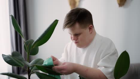 Man-with-down-syndrome-cleaning-houseplants-with-care-at-home