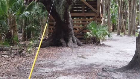 In-tropical-terrain,-you-may-come-across-a-splendid-wooden-observation-deck-during-clear-weather,-which-offers-a-breathtaking-panoramic-view