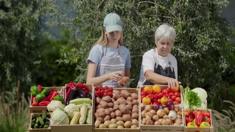 a girl and her grandmother lay out vegetables at a farmer's market counter