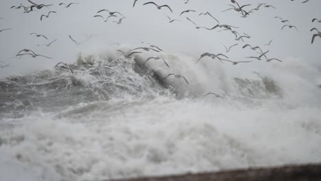 tempestuous ocean with extreme crashing waves along coastline, rotterdam