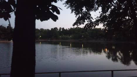 Walking-near-the-lake-of-a-park-in-Bucharest