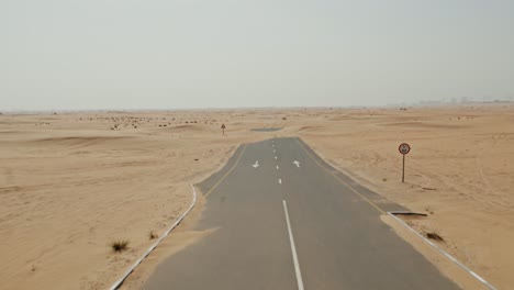 camino del desierto en el medio oriente
