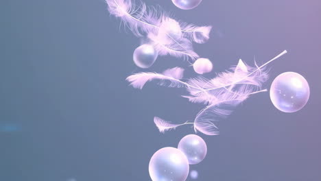 floating feathers and bubbles