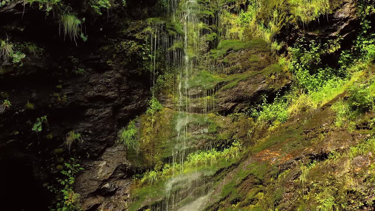 Piccola cascata limpida nella foresta. Splendido paesaggio naturale norvegese