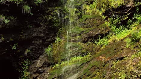 clean small waterfall in the forest. beautiful nature norway natural landscape.