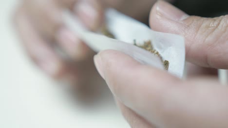 preparing cannabis joint cbd close up 4k