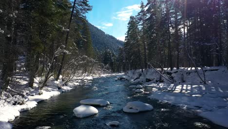 Hermoso-Bosque-De-Nieve-En-Invierno.-Volando-Sobre-Ríos-Y-Pinos-Cubiertos-De-Nieve.