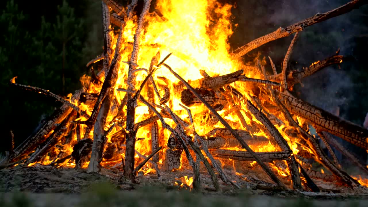 大きなキャンプファイアは木の枝から夜に森で燃え上がります